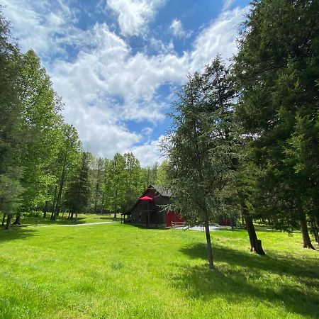 Shadow Mountain Escape Cabin Rentals Luray Εξωτερικό φωτογραφία