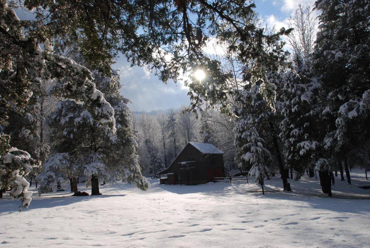 Shadow Mountain Escape Cabin Rentals Luray Εξωτερικό φωτογραφία