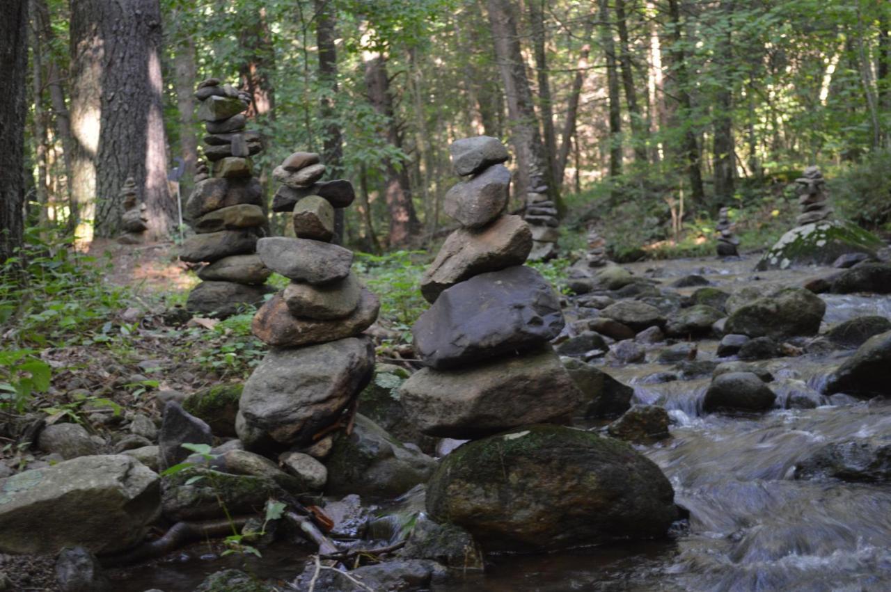 Shadow Mountain Escape Cabin Rentals Luray Εξωτερικό φωτογραφία