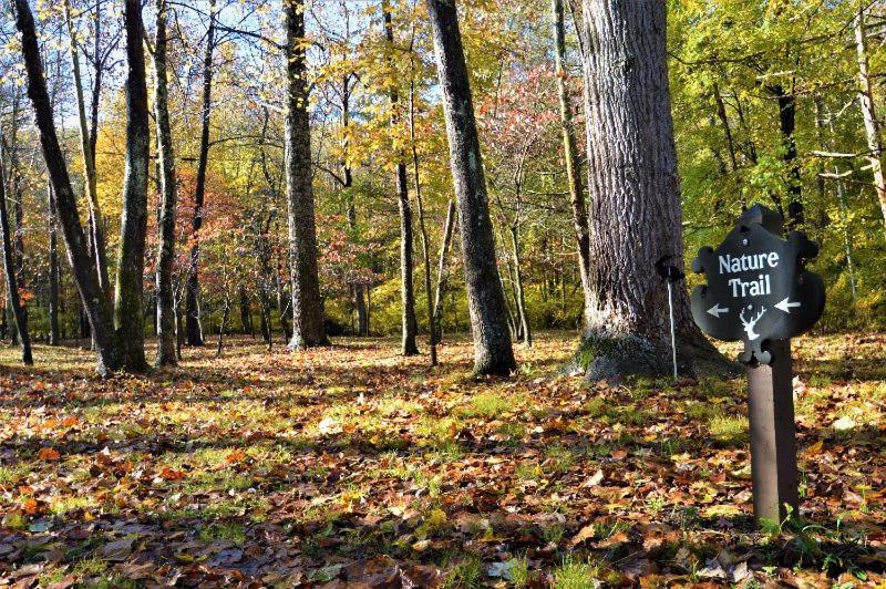 Shadow Mountain Escape Cabin Rentals Luray Εξωτερικό φωτογραφία